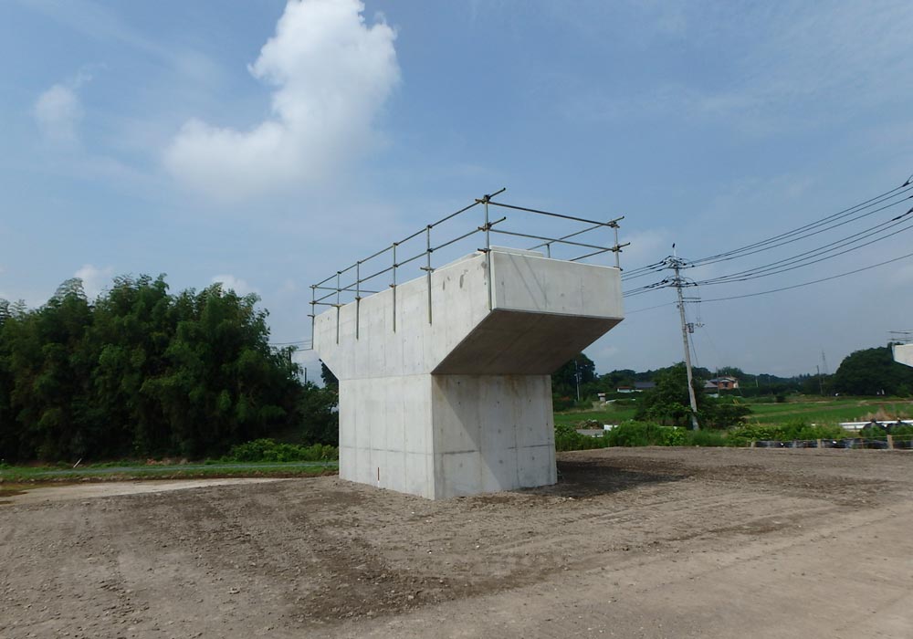 圏央道飯沼川高架橋（下部工）